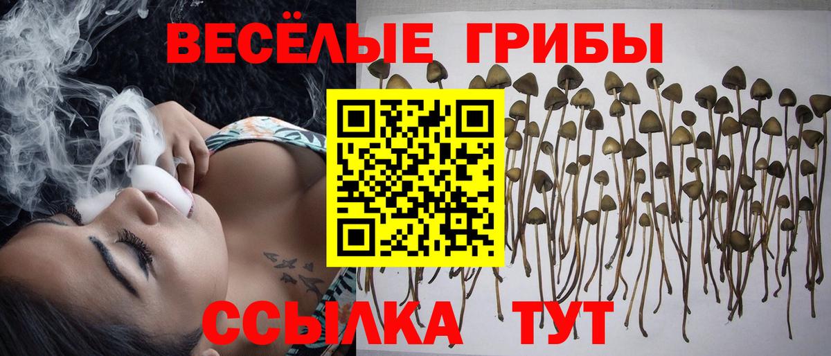 Галлюциногенные грибы GOLDEN TEACHER Клин